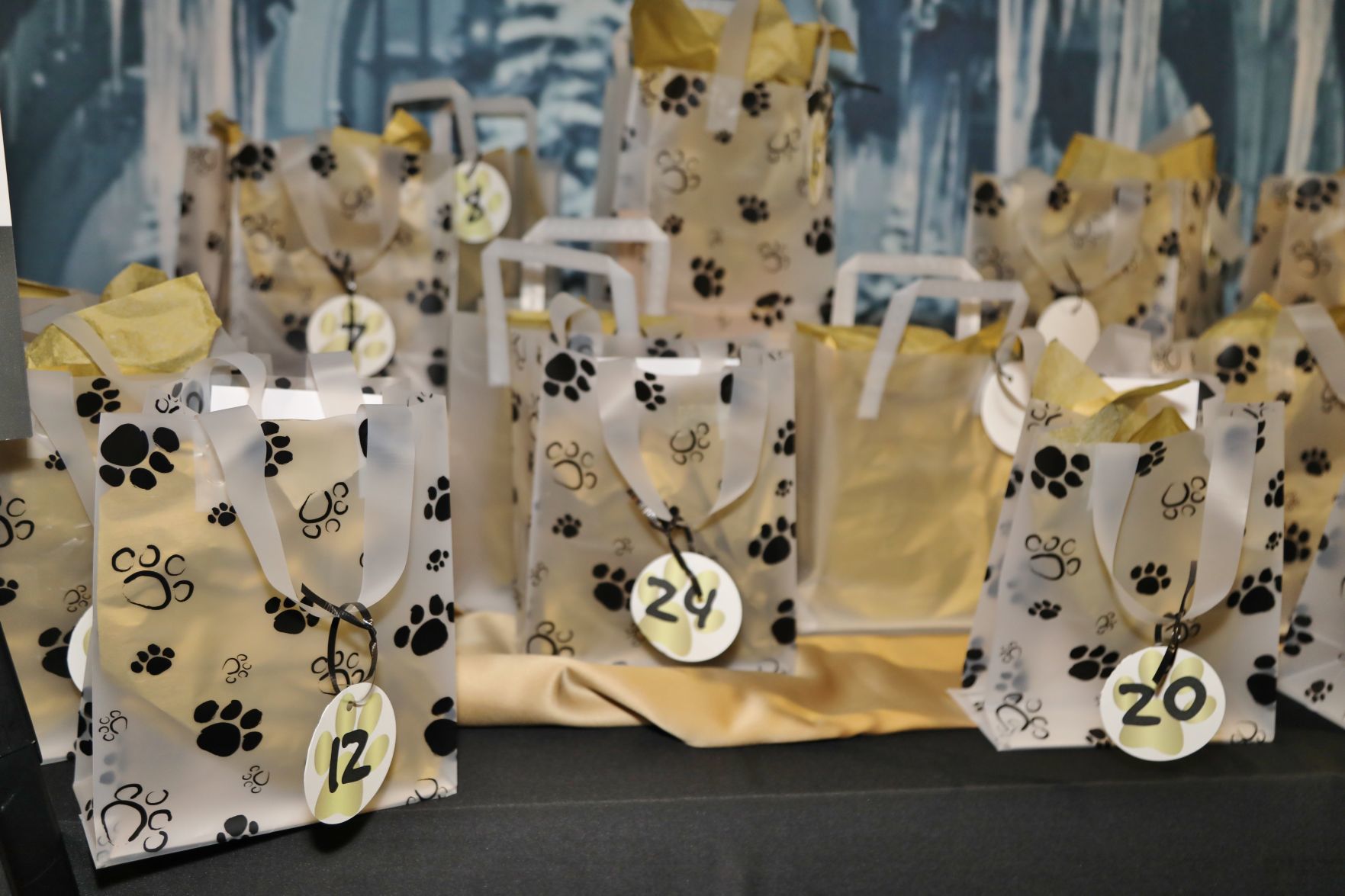 2018-Support-Dogs-Gala-009.JPG